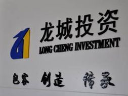 博興龍城投資咨詢 專業賦能，引領財富新航向