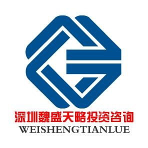深圳魏盛天略企業投資咨詢 專業賦能，驅動企業價值增長